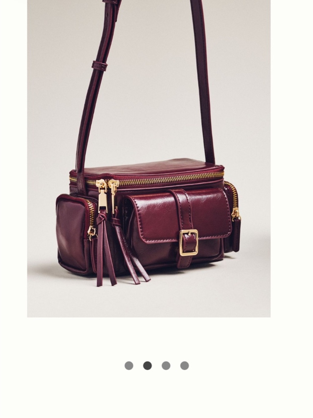 Anthropologie  Crossbody Multi with Gold Hardware